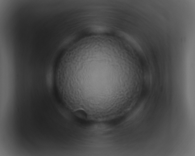 X0000101400591200807071220