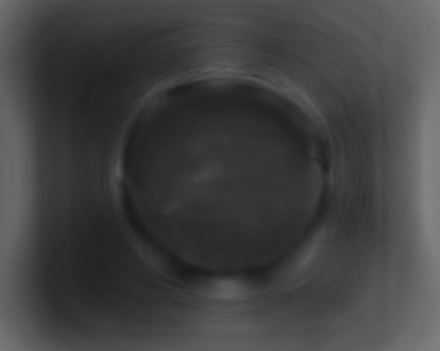 X0000101400592200807071220