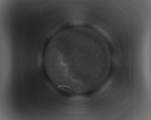 X0000101400593200807071220