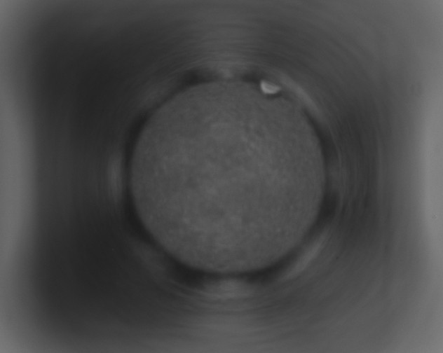 X0000101400594200807071220