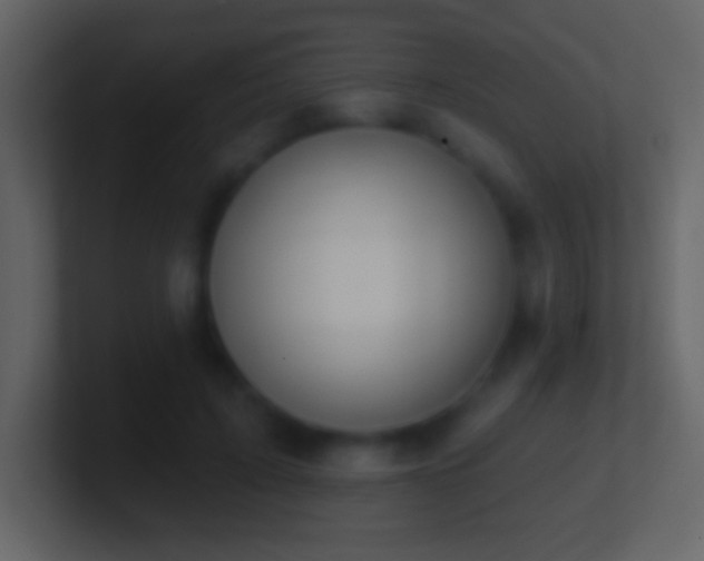 X0000101400595200807071220