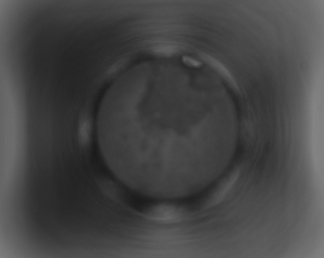 X0000101400596200807071220