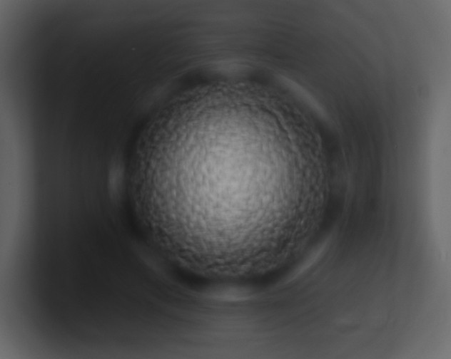 X0000101400597200807071220