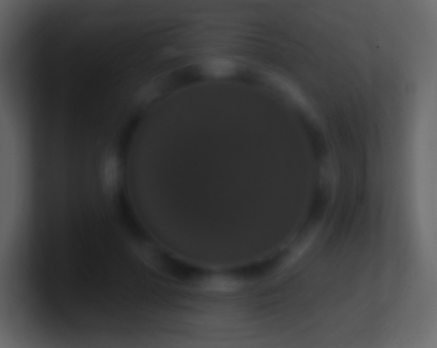 X0000101400598200807071220