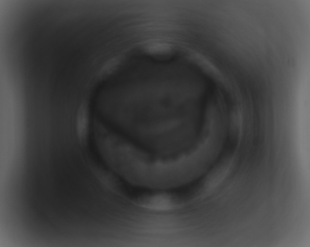 X0000101400600200807071220