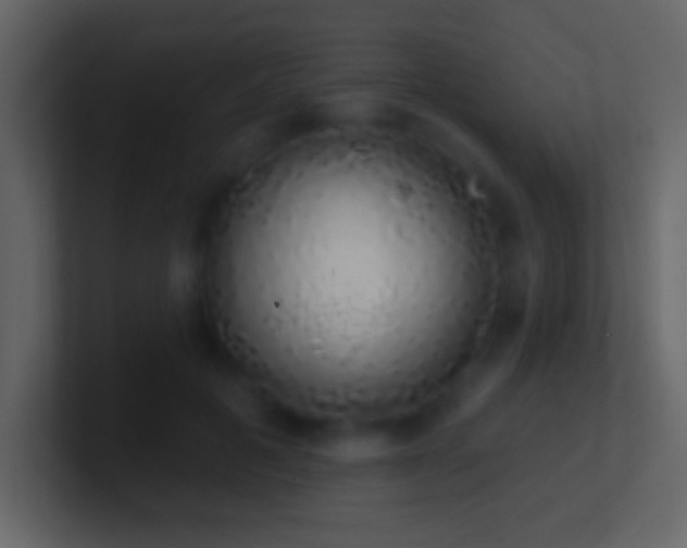X0000101400601200807071220