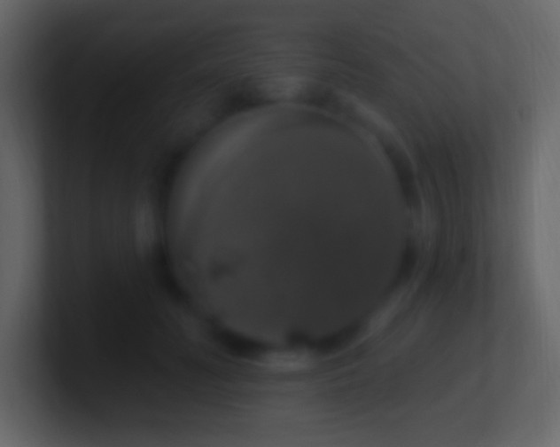 X0000101400606200807071220