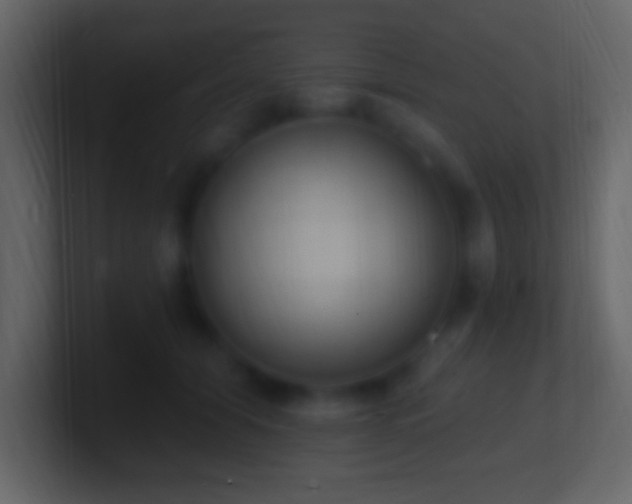 X0000101400608200807071220