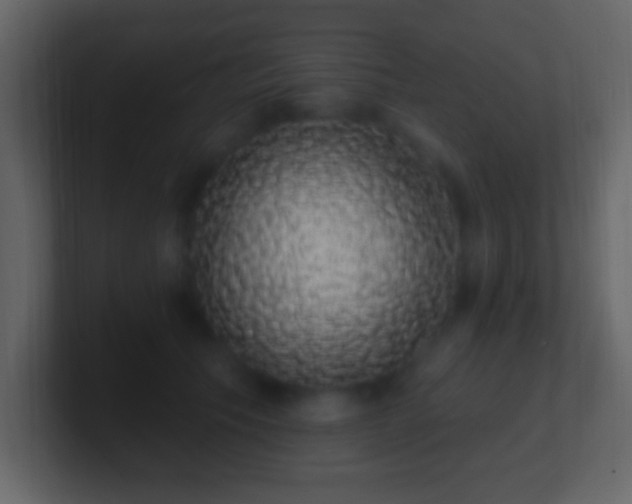 X0000101400609200807071220