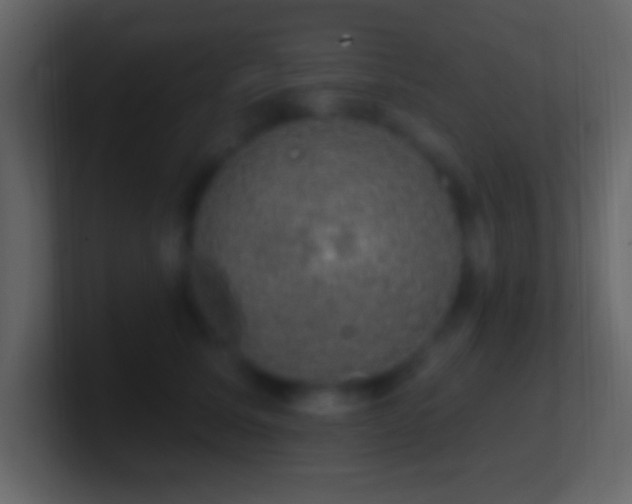 X0000101400611200807071220