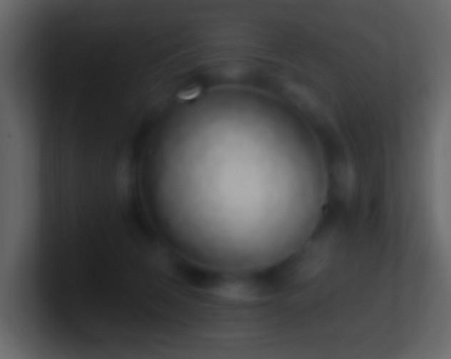 X0000101400612200807071220