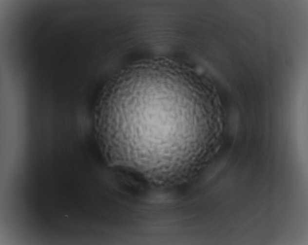 X0000101400613200807071220