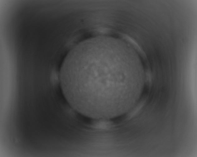 X0000101400621200807071220