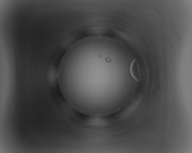 X0000101400624200807071220