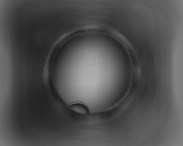 X0000101400628200807071219