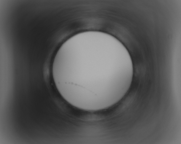 X0000101400632200807071219