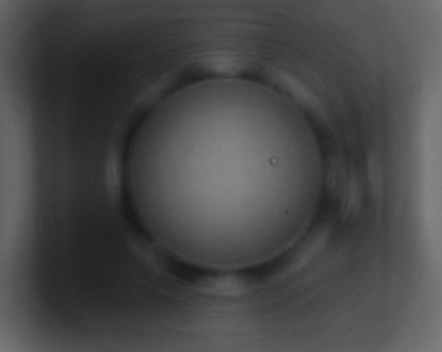 X0000101400639200807071219