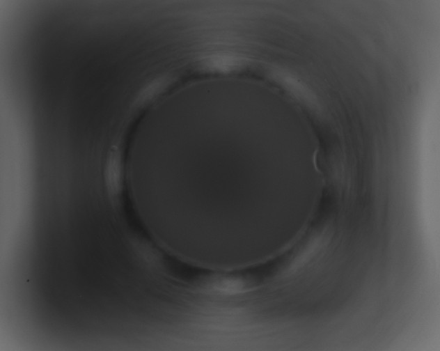 X0000101400640200807071219