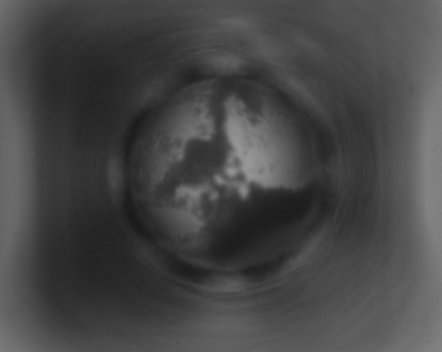 X0000101400642200807071219