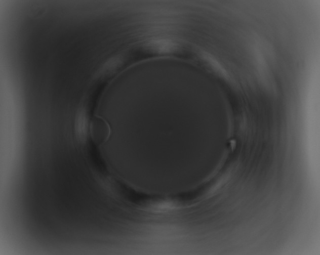 X0000101400643200807071219