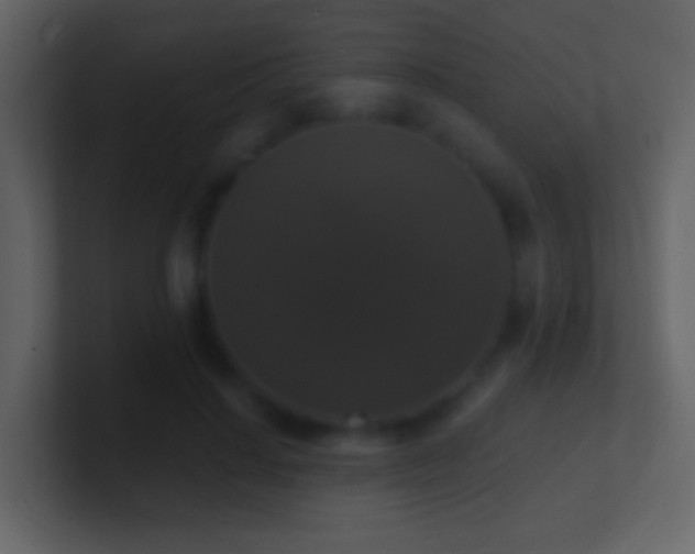 X0000101400644200807071219