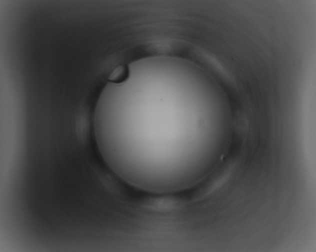 X0000101400645200807071219