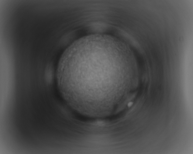 X0000101400647200807071219