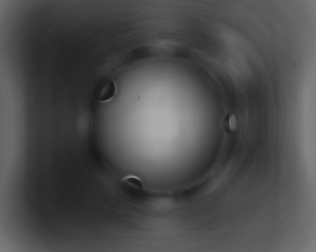 X0000101400649200807071219