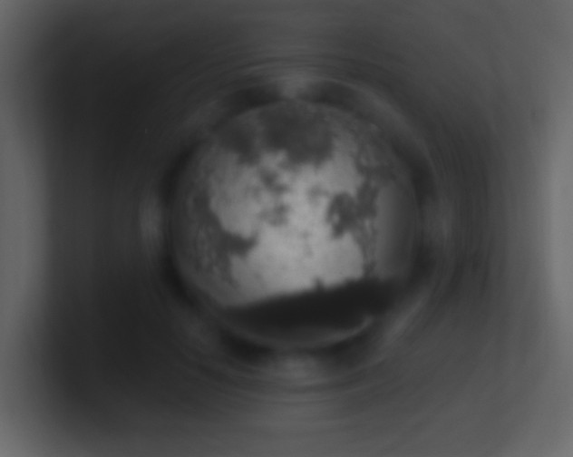 X0000101400650200807071220