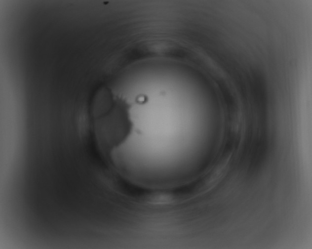 X0000101400651200807071220