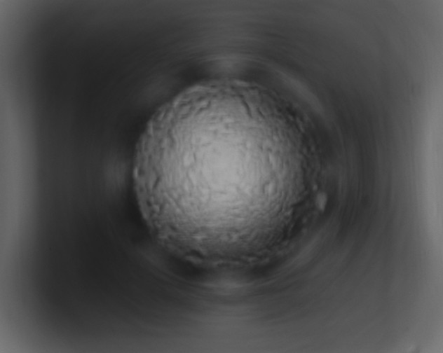 X0000101400652200807071220