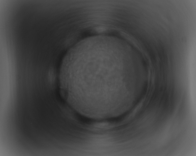 X0000101400653200807071220