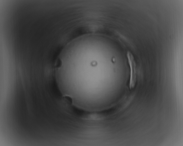 X0000101400657200807071220