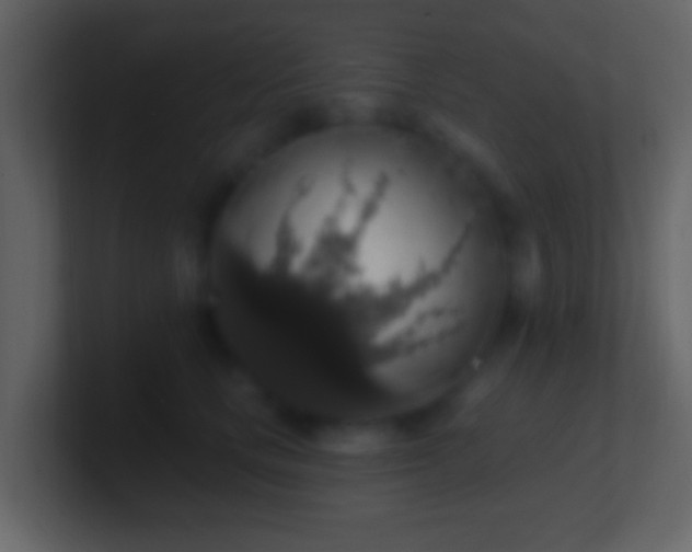 X0000101400661200807071220