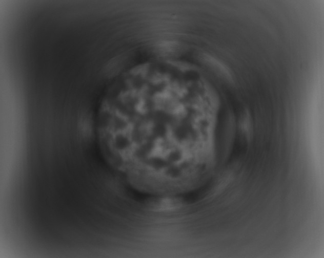 X0000101400663200807071220