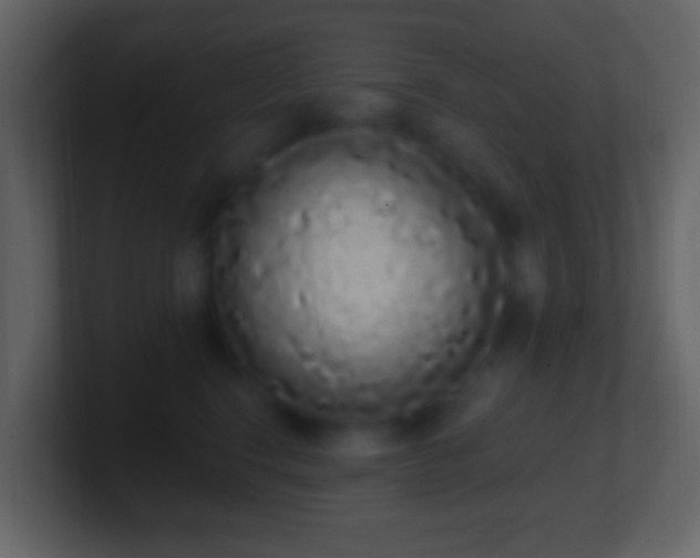 X0000101400664200807071220