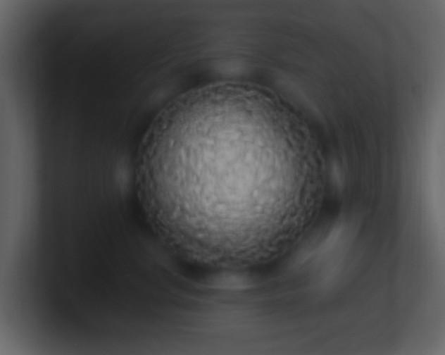X0000101400668200807071220