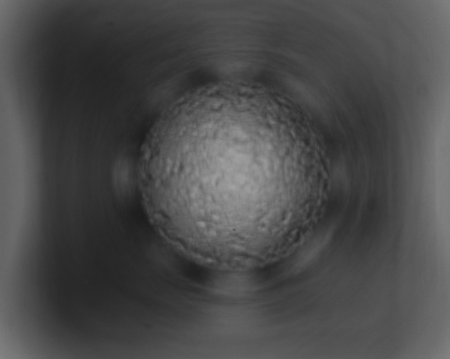 X0000101400671200807071220
