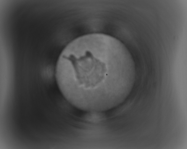 X0000101400672200807071220