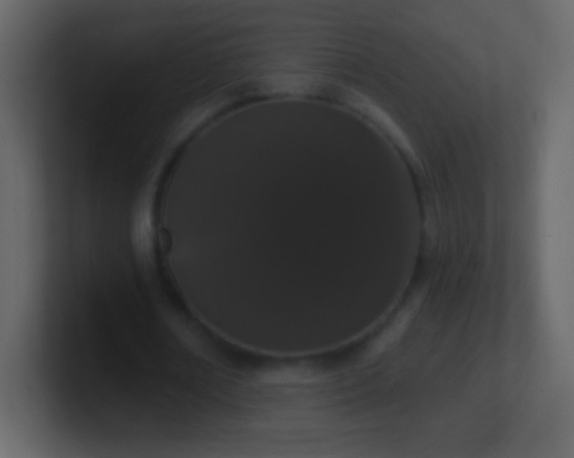X0000101400674200807071219