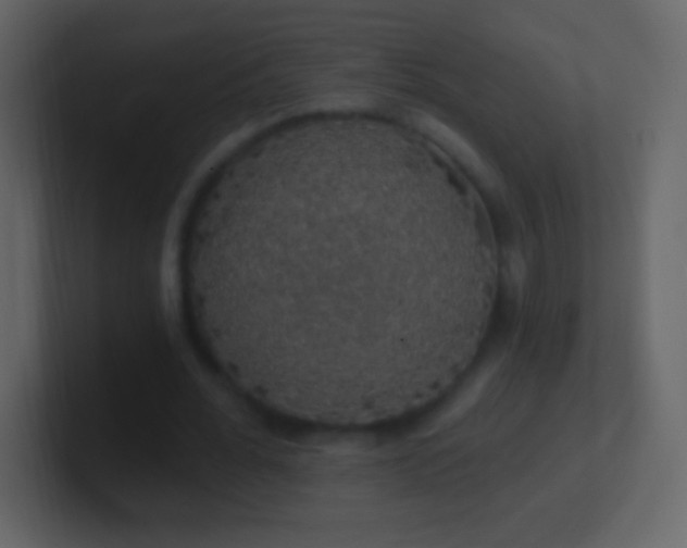 X0000101400676200807071219