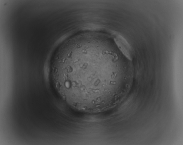 X0000101400679200807071219