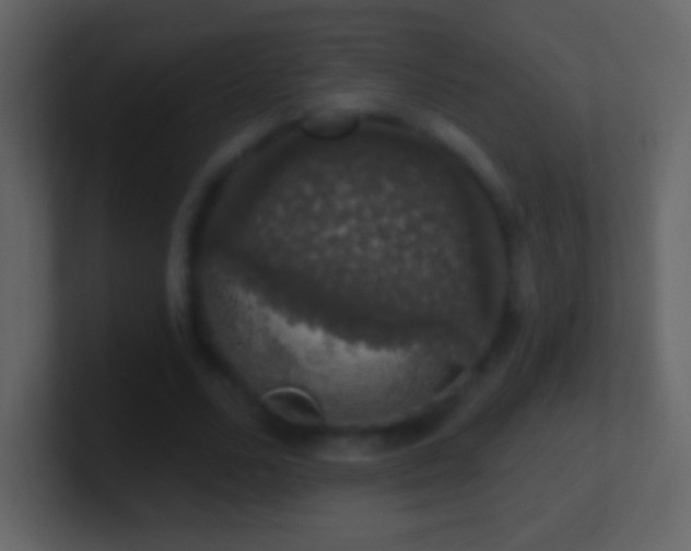 X0000101400680200807071219