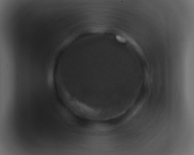 X0000101400681200807071219