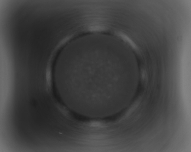 X0000101400684200807071219