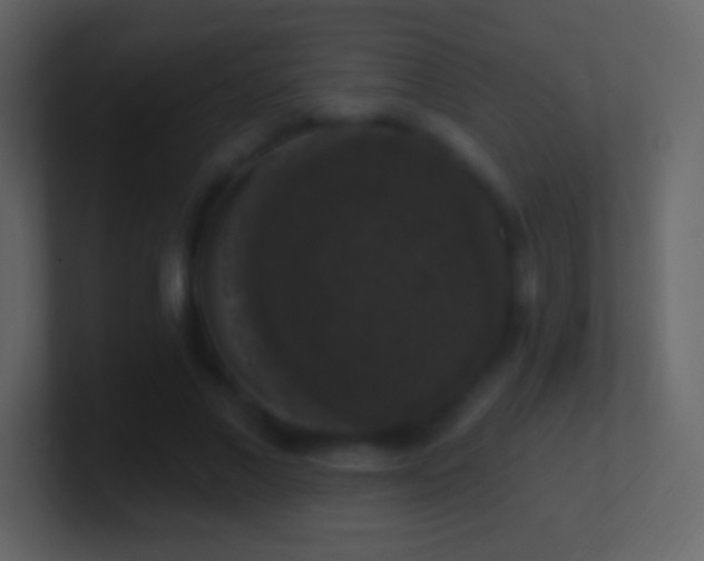X0000101400685200807071219