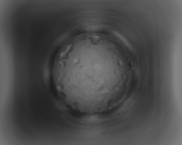 X0000101400687200807071219