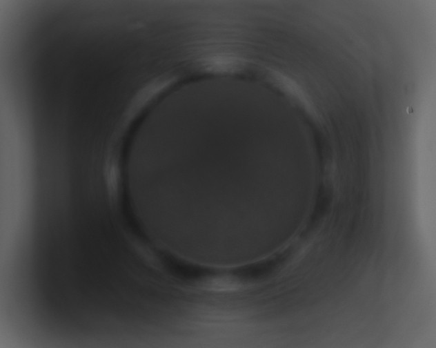 X0000101400688200807071219