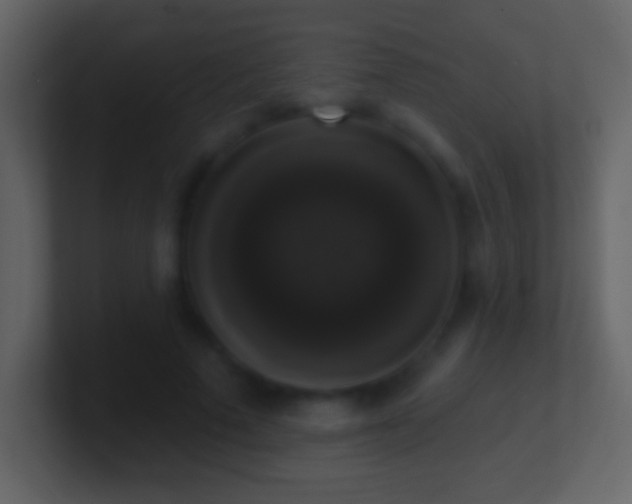 X0000101400689200807071219
