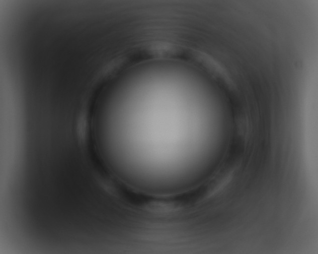 X0000101400690200807071219